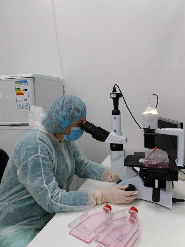 Лечение стволовыми клетками в Киеве  Stem cell scaling photo