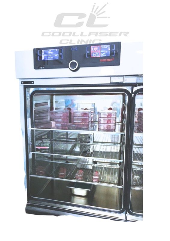 CO2 incubator Memmert (Германия)