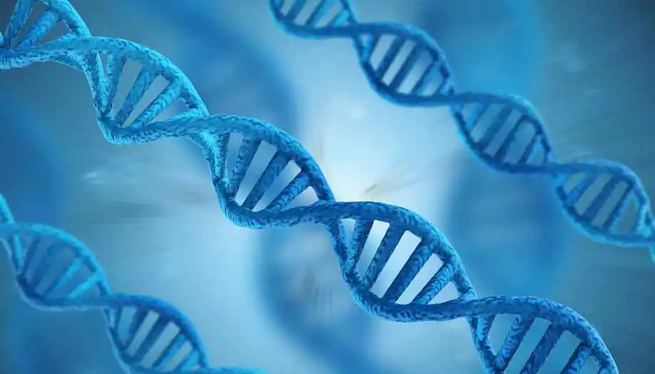 Проект Геном человенка / What DNA is